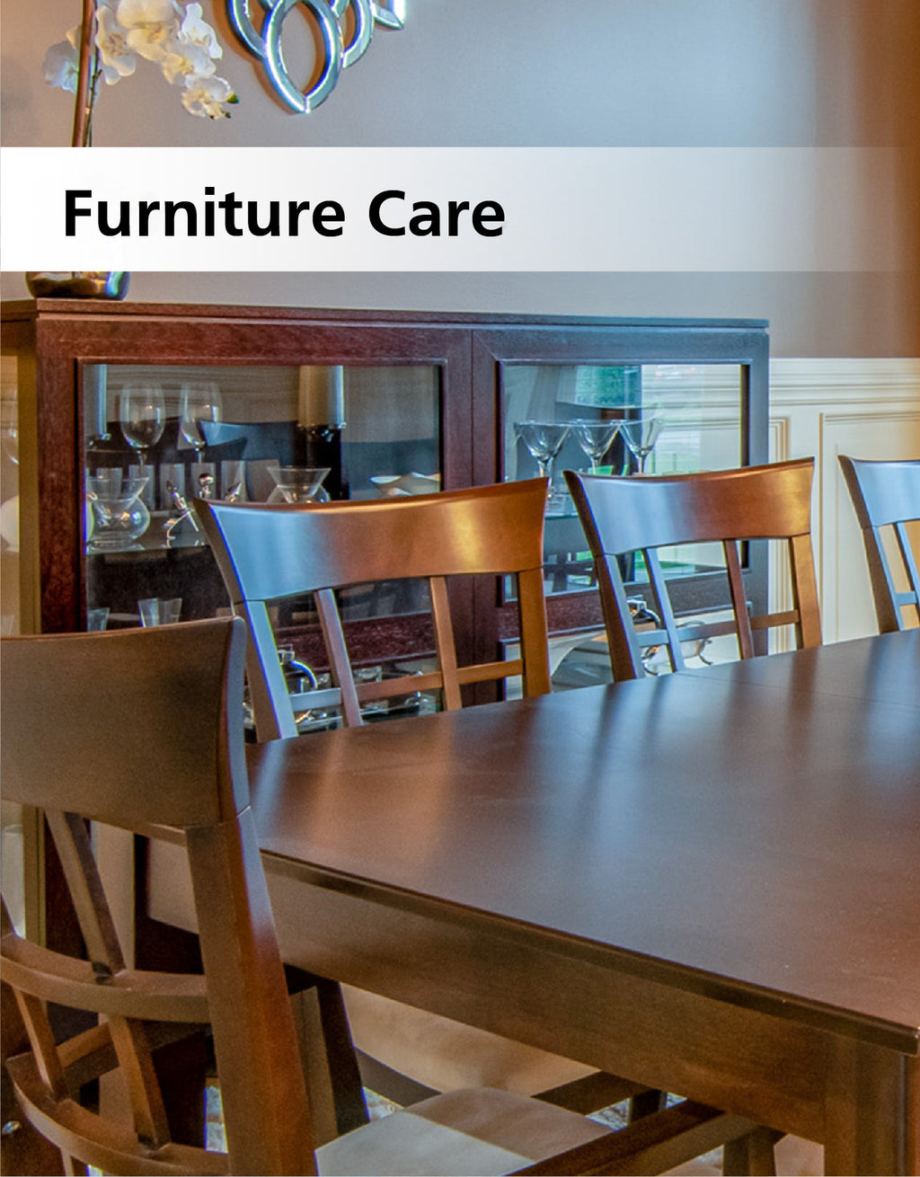 The words furniture care with picture of wood table and chairs